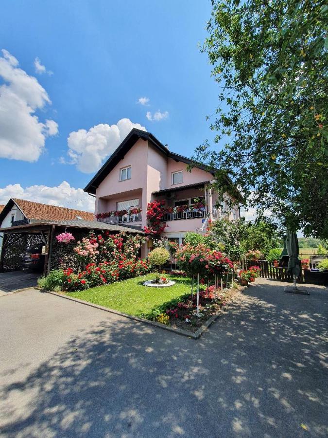 Apartman Vesna Bjelovar Exterior foto